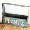 PLANT's image1